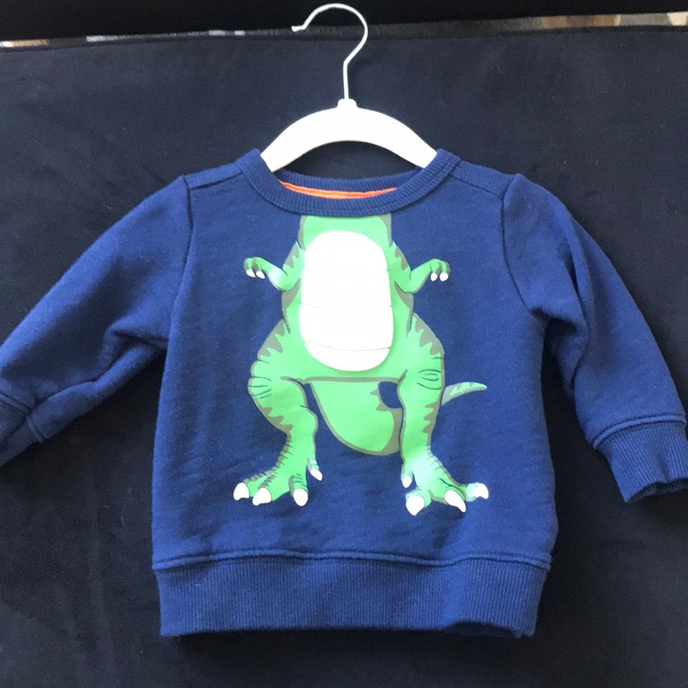 Carters dinosaur sweatshirt